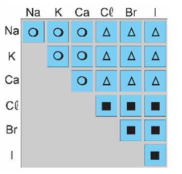 05 c).png